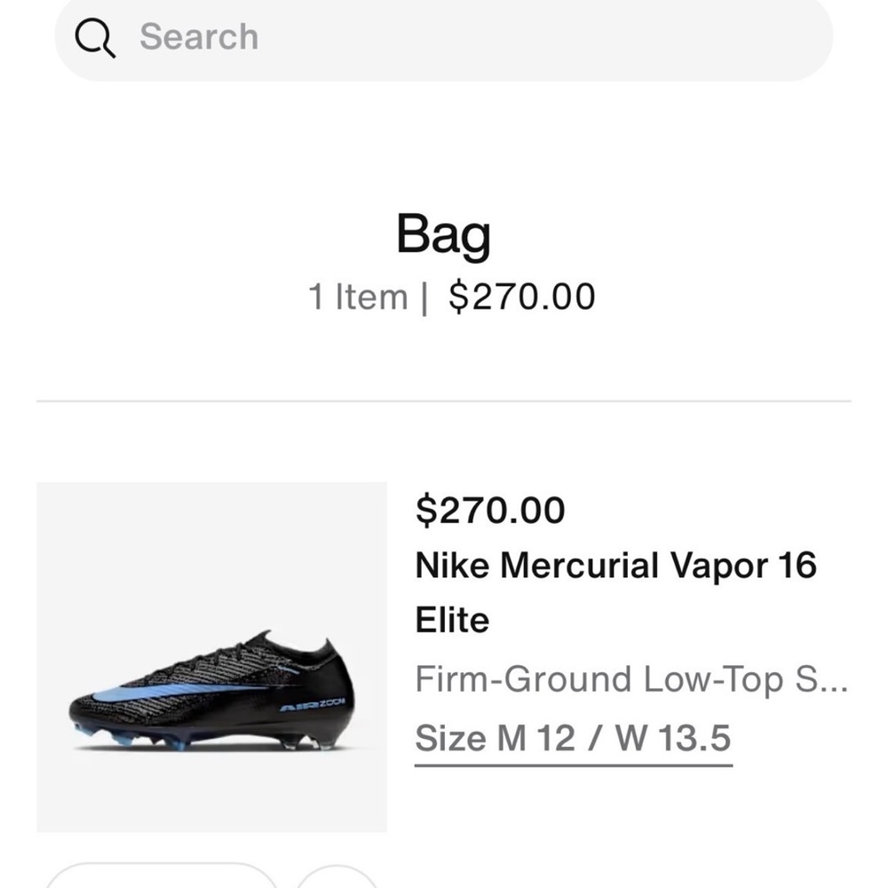 Nike Black and Blue Athletic Shoes